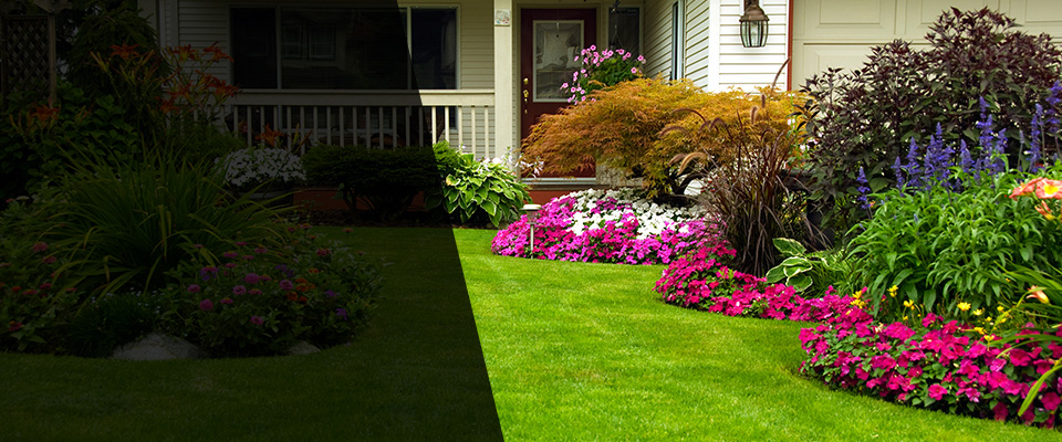 Des Plaines Landscapers