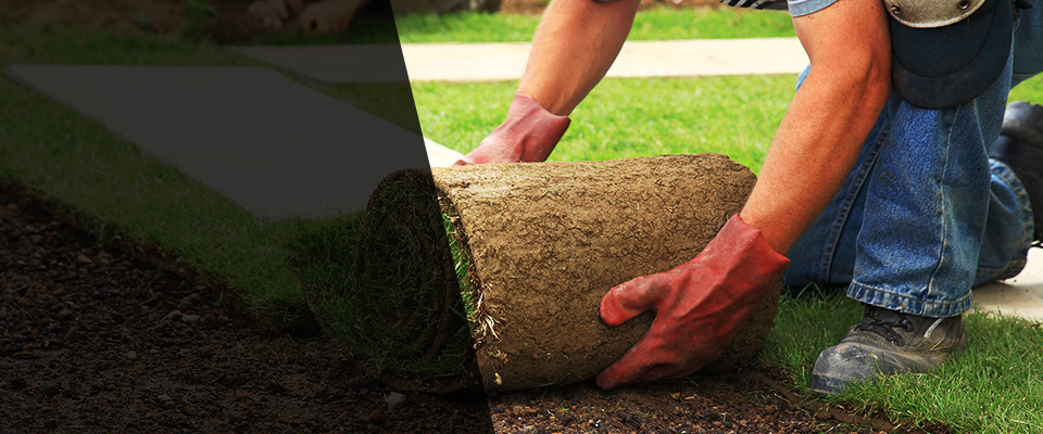 Des Plaines Landscapers